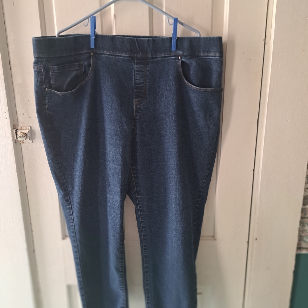 A pair of like new Terra sky  plus sise 2x. Short. Jeans